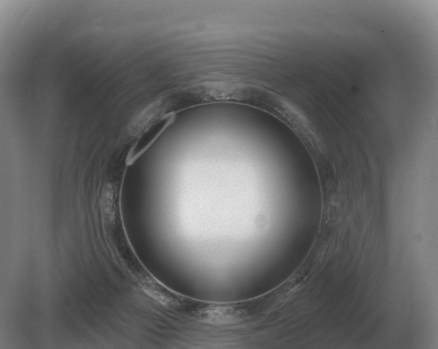 X0000081300121200701181845