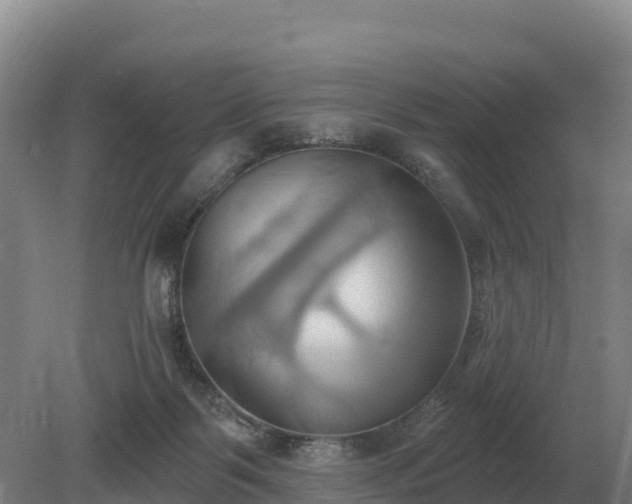 X0000081300123200701181845