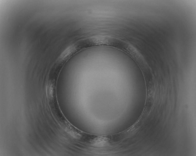 X0000081300124200701181845