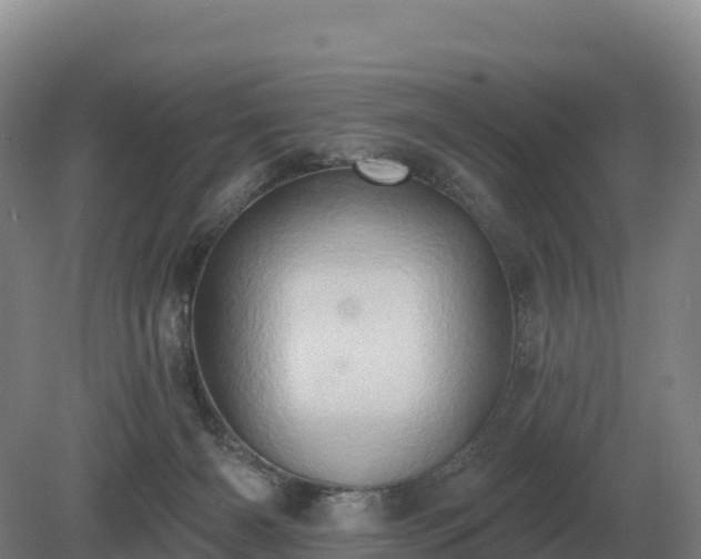 X0000081300126200701181845