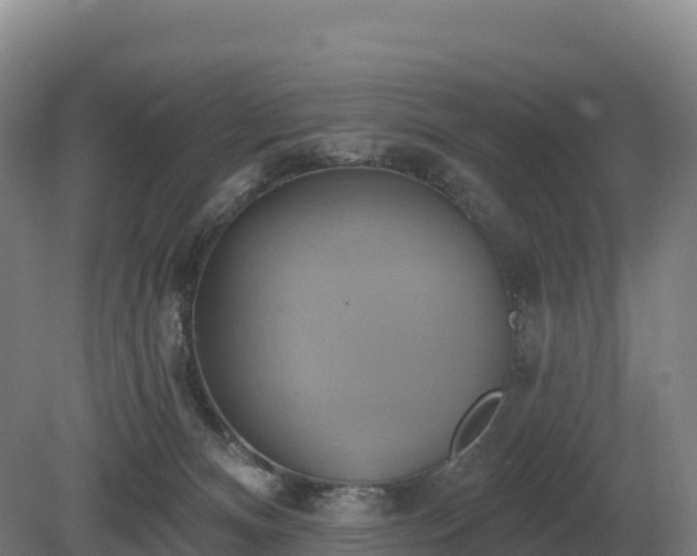 X0000081300128200701181845