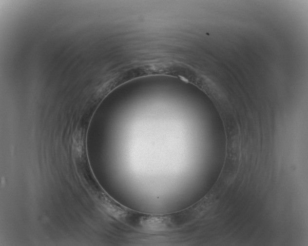 X0000081300129200701181845