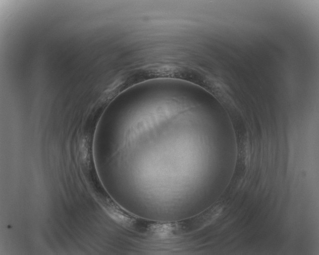 X0000081300131200701181845