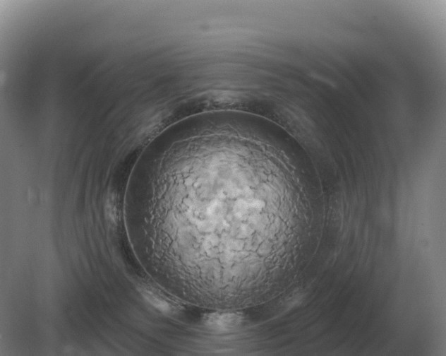 X0000081300135200701181845