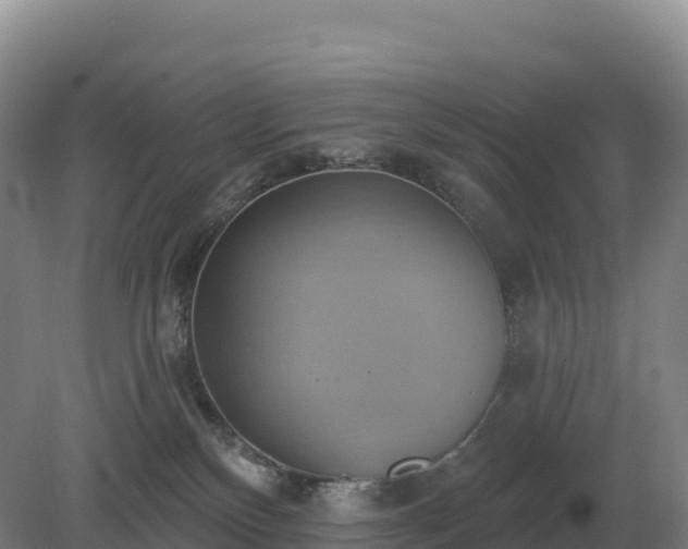 X0000081300136200701181845