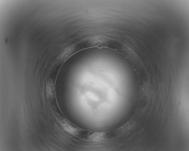 X0000081300138200701181845