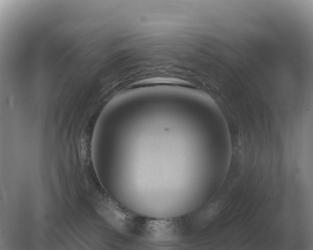 X0000081300139200701181845