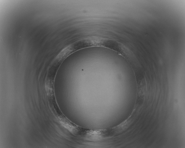 X0000081300140200701181845