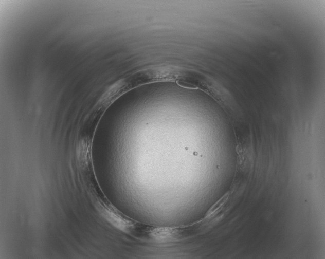 X0000081300142200701181845