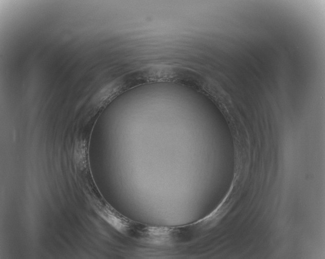 X0000081300144200701181845