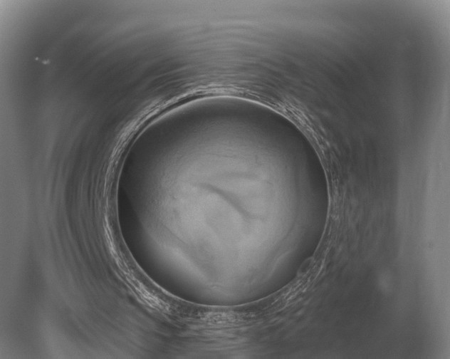 X0000081300145200701181844