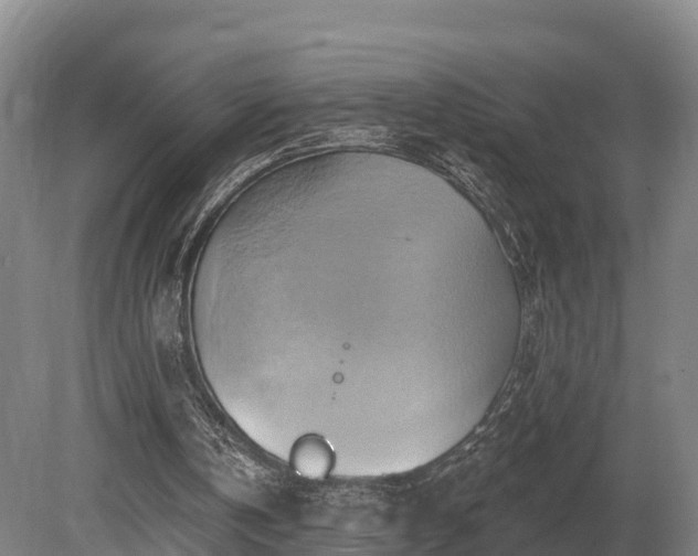 X0000081300146200701181844