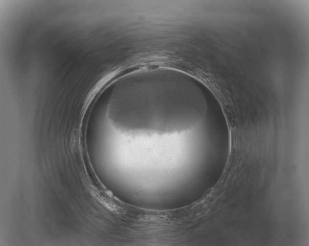 X0000081300147200701181844