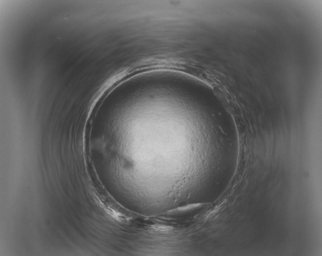 X0000081300148200701181844