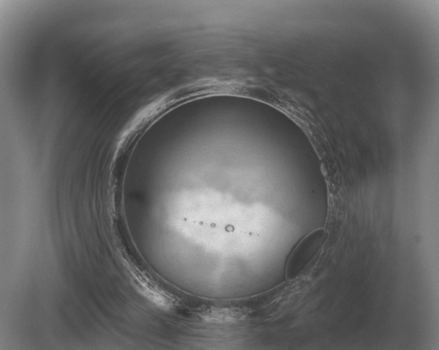 X0000081300149200701181844