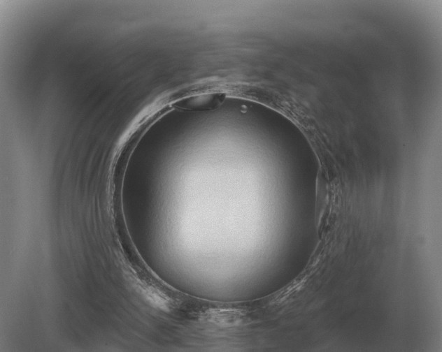 X0000081300150200701181844