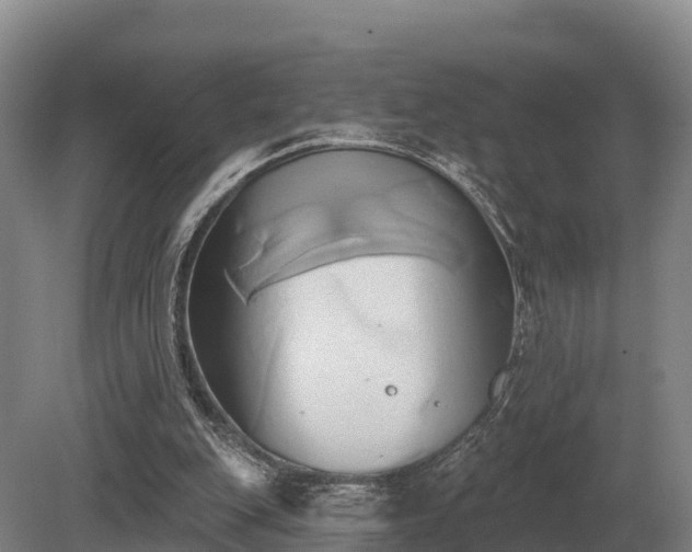 X0000081300151200701181844