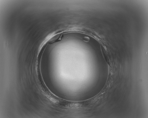 X0000081300152200701181844