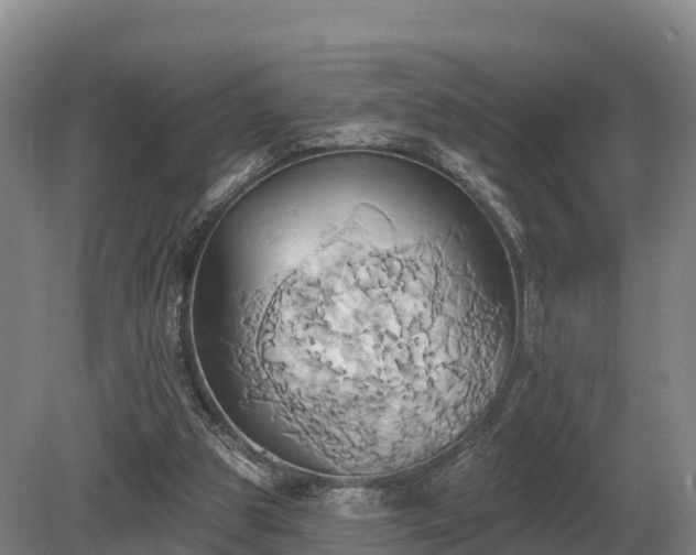 X0000081300153200701181844