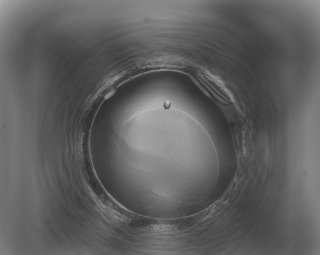 X0000081300154200701181844