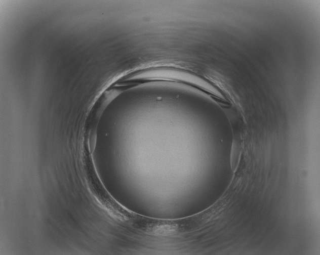 X0000081300156200701181844