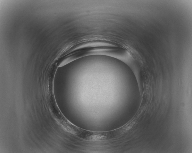 X0000081300158200701181844