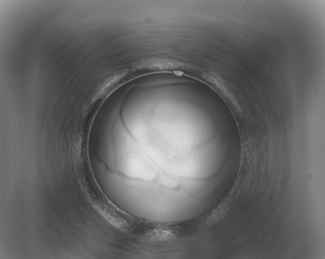 X0000081300159200701181844