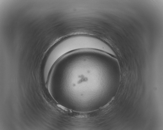 X0000081300160200701181844