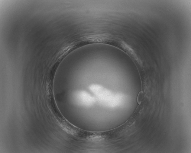 X0000081300161200701181844