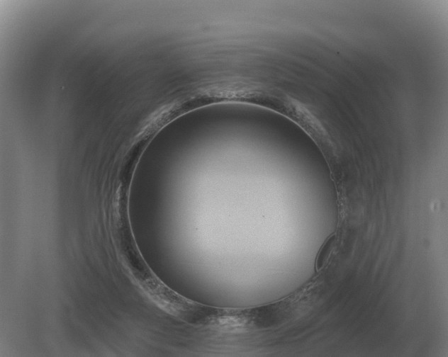 X0000081300163200701181844