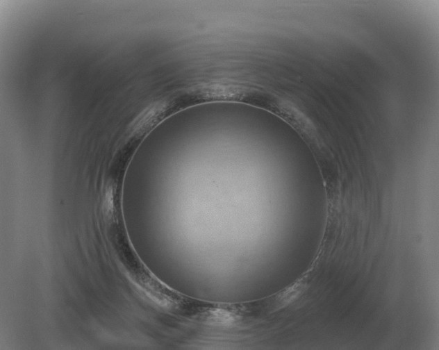 X0000081300166200701181844