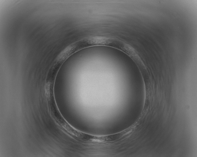 X0000081300167200701181844