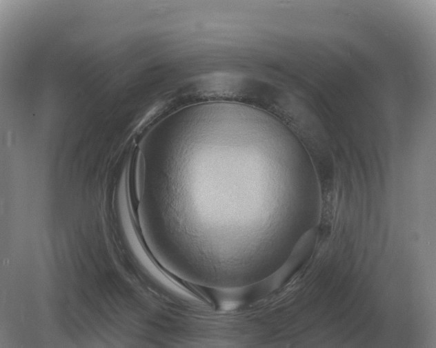 X0000081300168200701181844