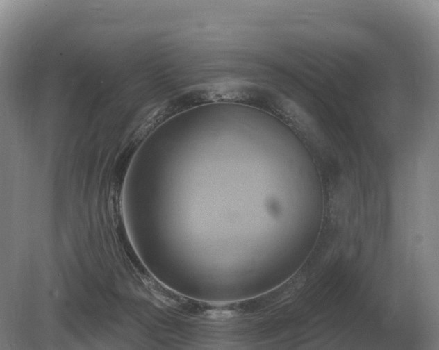 X0000081300169200701181844