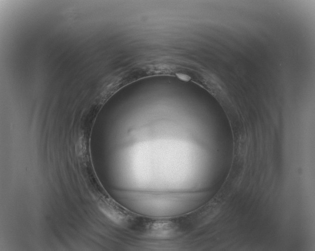 X0000081300173200701181845