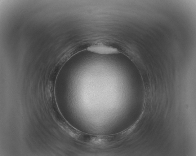 X0000081300174200701181845