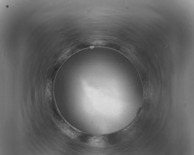 X0000081300175200701181845