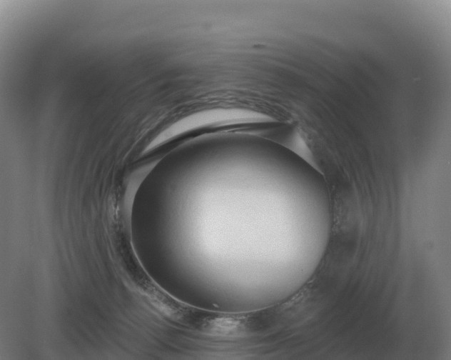 X0000081300176200701181845