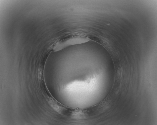 X0000081300177200701181845