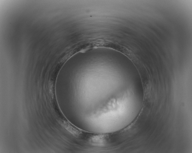 X0000081300178200701181845