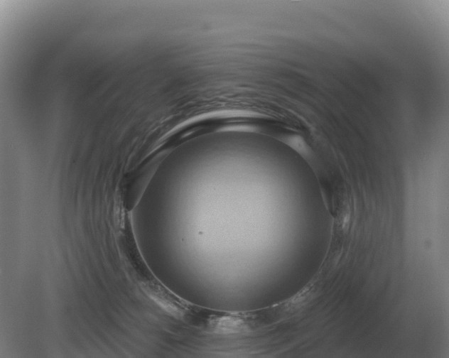 X0000081300180200701181845