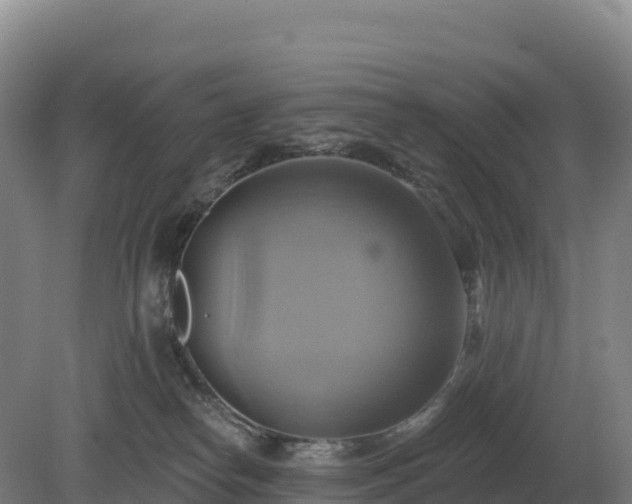 X0000081300182200701181845