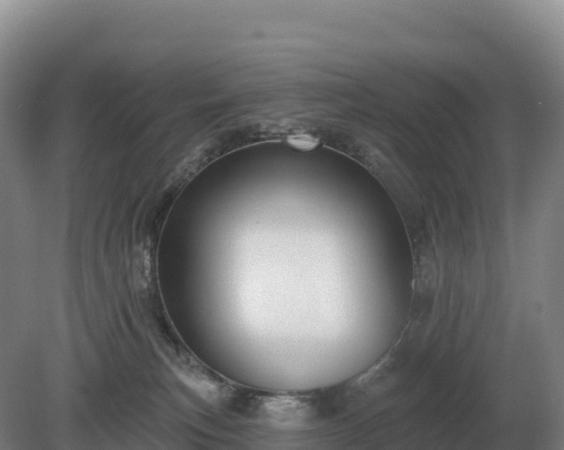 X0000081300183200701181845