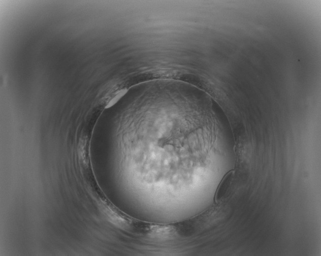 X0000081300185200701181845