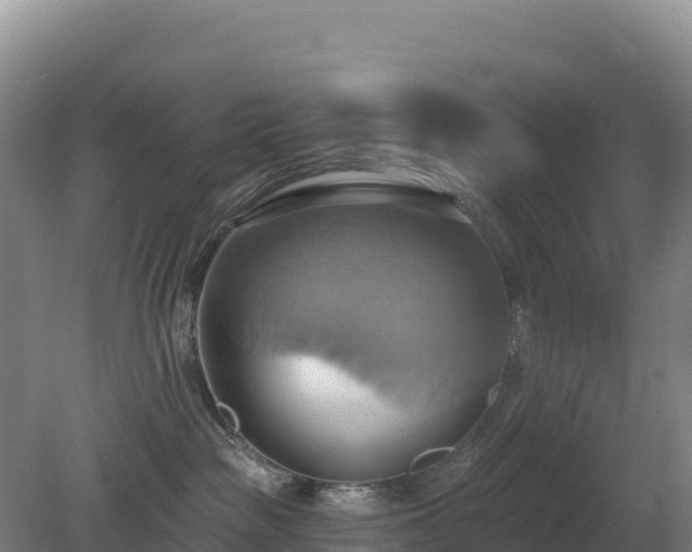 X0000081300189200701181845