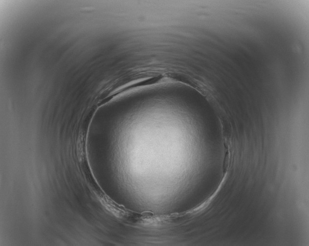 X0000081300190200701181845