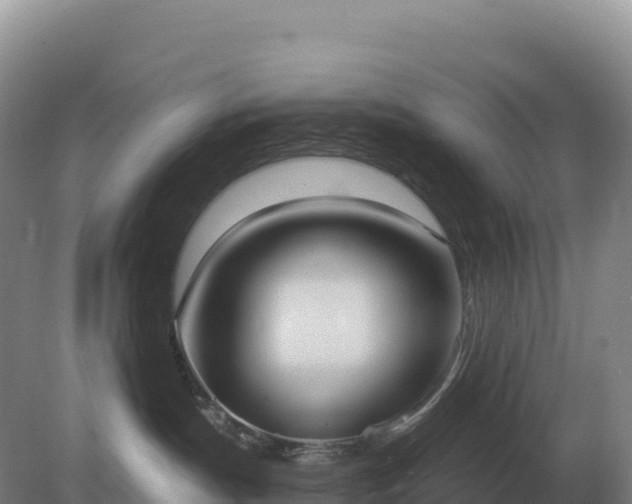 X0000081300191200701181845