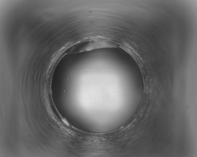 X0000081300193200701181844