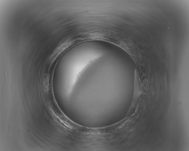 X0000081300194200701181844