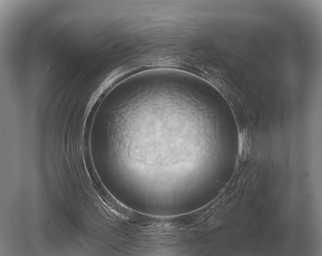 X0000081300195200701181844